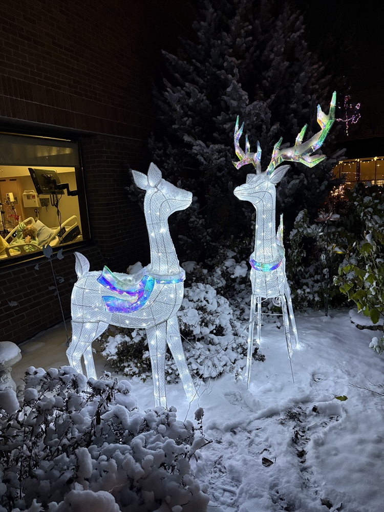 Christmas light-up 2025