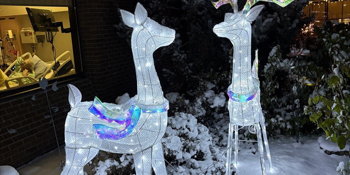 Christmas light-up 2025