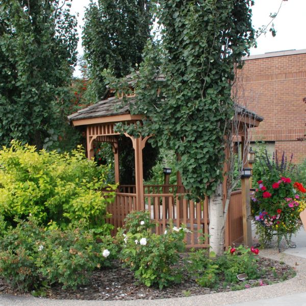 Programs supporting patients 