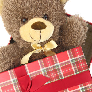 Gift Bear